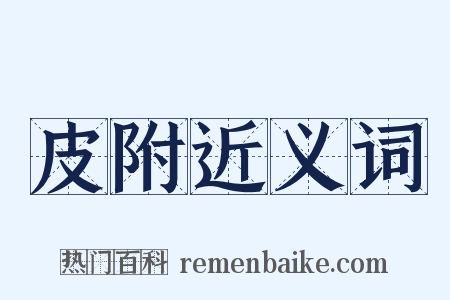 皮附近义词是什么意思的图片